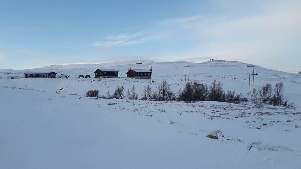 Moskusstuggu Hotel Hjerkinn Luaran gambar